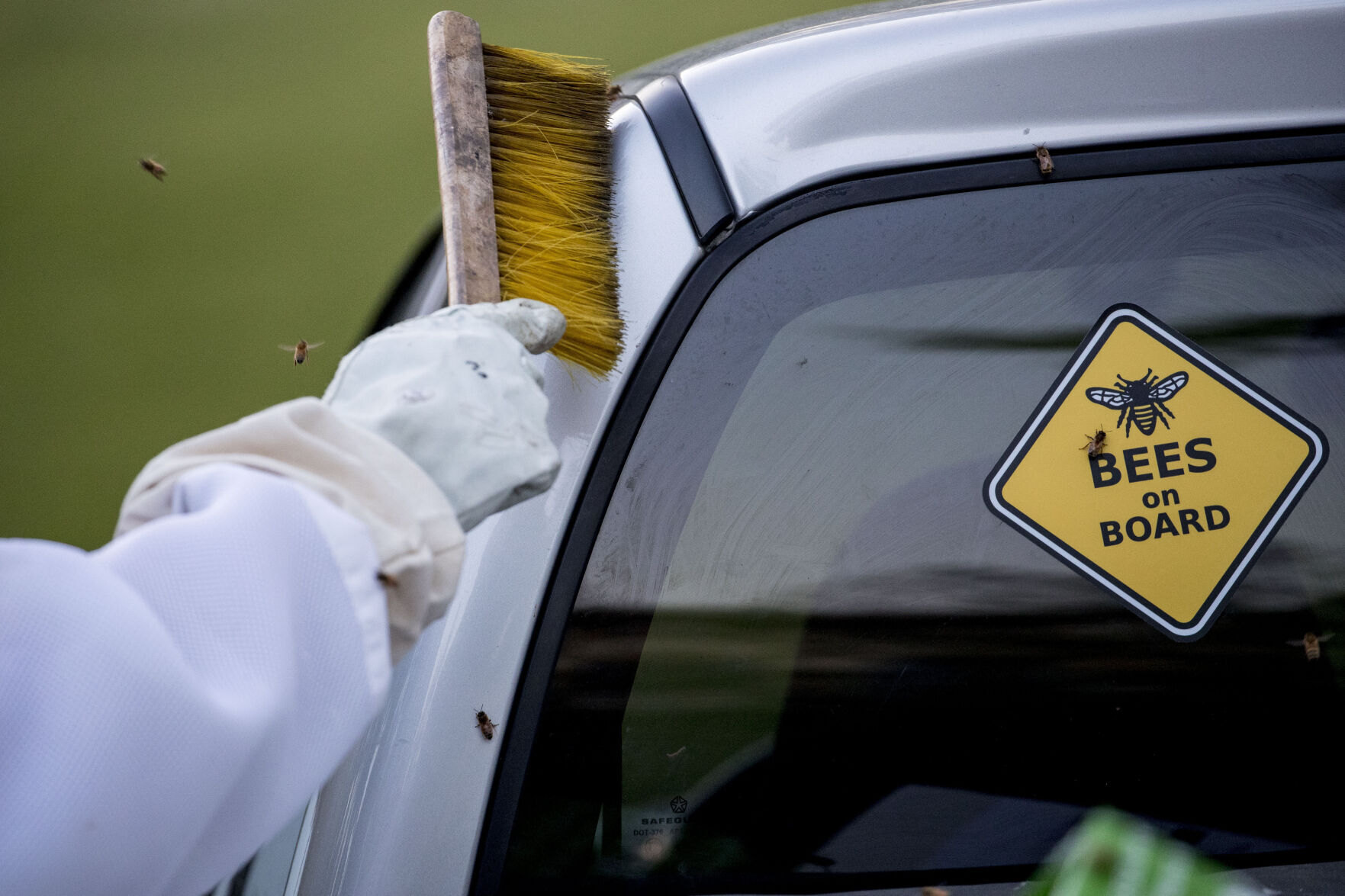 Washington Beekeepers Virus Outbreak